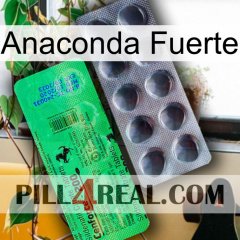 Anaconda Strong new04